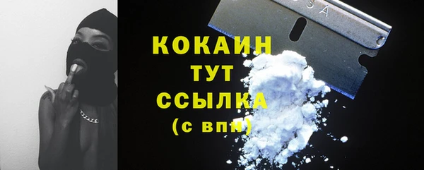 мдма Инта