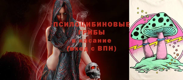 герыч Зеленокумск