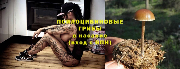 герыч Зеленокумск