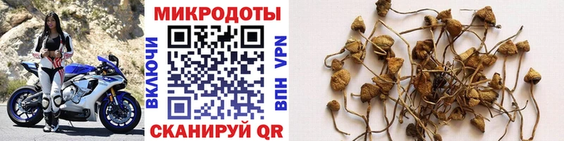 Галлюциногенные грибы MAGIC MUSHROOMS  Камышлов 
