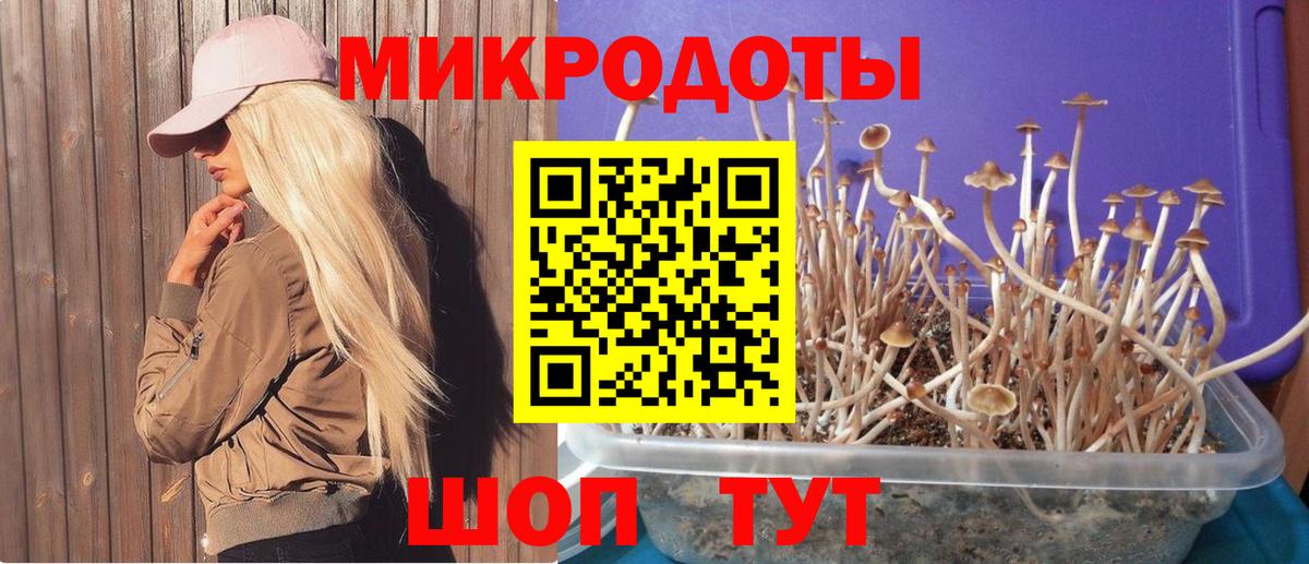 Псилоцибиновые грибы ЛСД  Вход с VPN  Псилоцибиновые грибы прущие грибы  Камышлов 