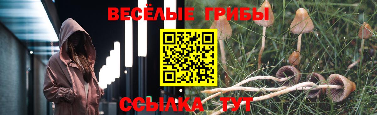 Псилоцибиновые грибы ЛСД Камышлов