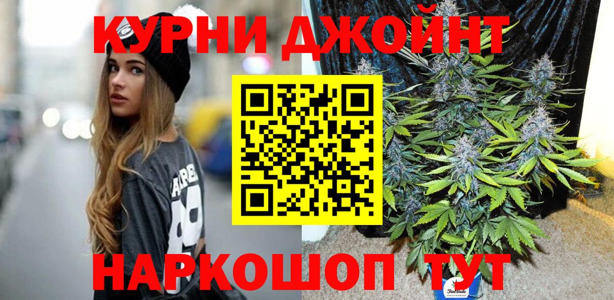 Канабис гибрид Камышлов